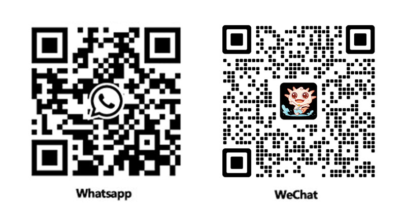 contact-us